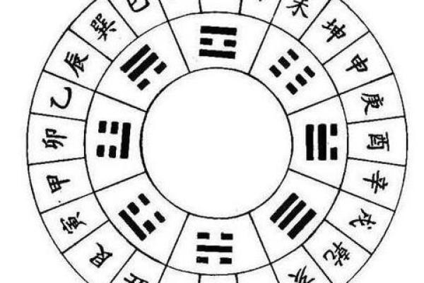 揭秘葵酉年:五行属什么命的深度解析与生活启示 揭秘葵酉年:五行属什么命的深度解析与生活启示
