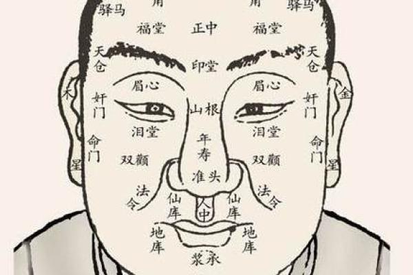 眉毛与五行的奇妙关联:解密面相与命运的密码 眉毛与五行的奇妙关联:解密面相与命运的密码
