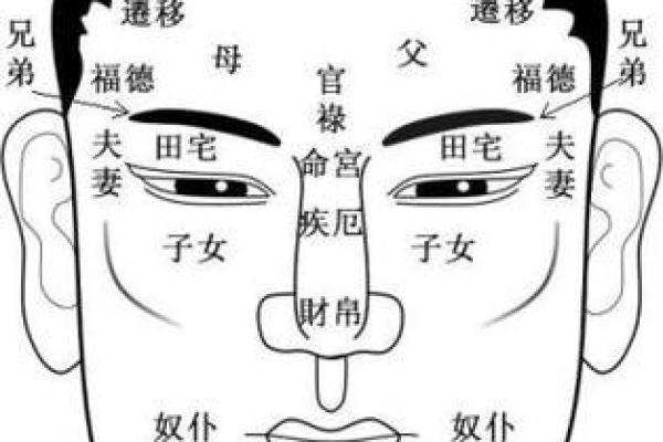 眉毛与五行的奇妙关联:解密面相与命运的密码 眉毛与五行的奇妙关联:解密面相与命运的密码