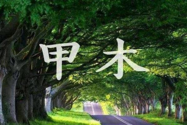 从辰时看木命人的楼层选择,打造最佳居住环境! 从辰时看木命人的楼层选择,打造最佳居住环境!