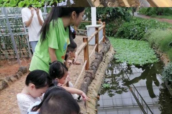 明年农历五月十三:生肖解密与命运探索之旅 明年农历五月十三:生肖解密与命运探索之旅