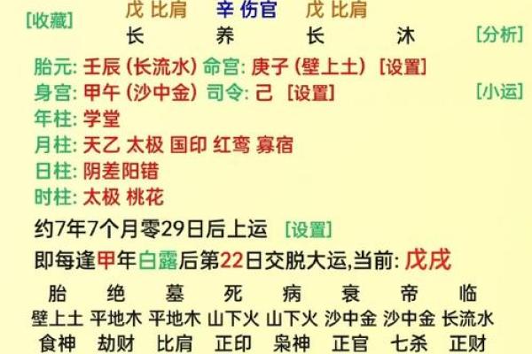 偏印在女命中的深刻象征与影响解析 偏印在女命中的深刻象征与影响解析