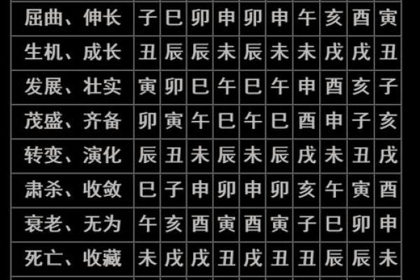女人八字与官命:揭秘命理背后的职业之路 女人八字与官命:揭秘命理背后的职业之路