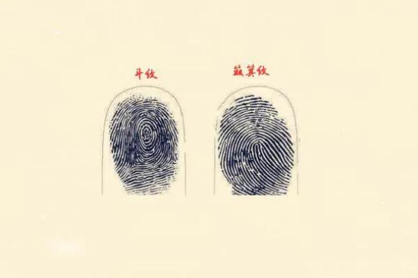 没有簸箕的人是什么命?探寻生活中的智慧与哲理! 没有簸箕的人是什么命?探寻生活中的智慧与哲理!