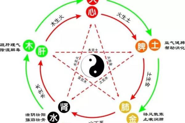 木命与火命的五行养生:如何选择合适的植物与动物? 木命与火命的五行养生:如何选择合适的植物与动物?