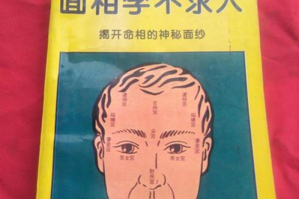揭开女命4.1的神秘面纱:命理与人生的深邃解读 揭开女命4.1的神秘面纱:命理与人生的深邃解读