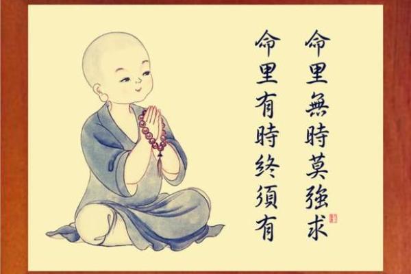 命里有时终须有,命里无时莫强求的人生智慧 命里有时终须有,命里无时莫强求的人生智慧