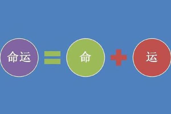 命冲命害解析:探寻命运背后的深意与智慧 命冲命害解析:探寻命运背后的深意与智慧
