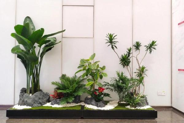 适合木命人的办公桌花卉选择与摆放指南 适合木命人的办公桌花卉选择与摆放指南