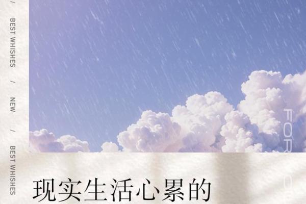 没钱时命不值钱,这句话的深刻内涵与现实的无奈 没钱时命不值钱,这句话的深刻内涵与现实的无奈