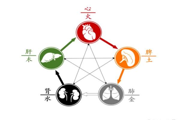 探索六个字五行命理的奥秘与未来 探索六个字五行命理的奥秘与未来