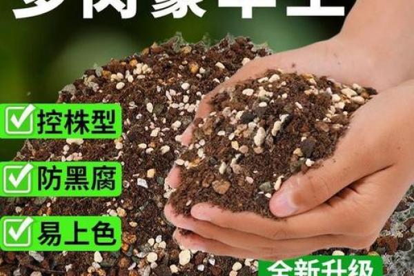 木命土命的最佳植物选择与养护指南 木命土命的最佳植物选择与养护指南