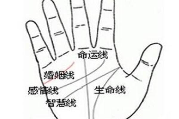 卯时出生的女性:命运与运势的深度解析 卯时出生的女性:命运与运势的深度解析