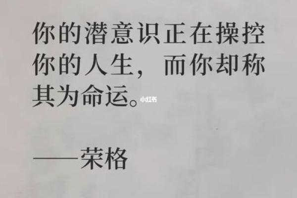命里没有一滴水:探寻生活与命运的哲学 命里没有一滴水:探寻生活与命运的哲学
