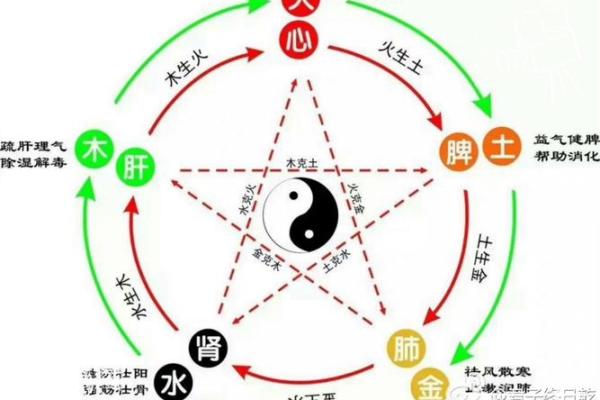 1994年出生的人命运解析:金木水火土五行相生相克的深刻影响 1994年出生的人命运解析:金木水火土五行相生相克的深刻影响