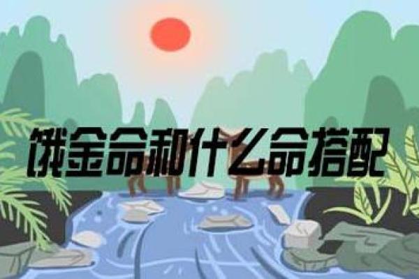 木命人适合找什么命的人,提升缘分与幸福的指南 木命人适合找什么命的人,提升缘分与幸福的指南