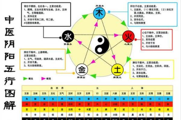 农历五月出生:解析五行命理与人生机遇的奇妙联系 农历五月出生:解析五行命理与人生机遇的奇妙联系