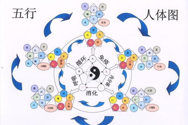 如何化解木命与土命的冲突:五行调和之道 如何化解木命与土命的冲突:五行调和之道