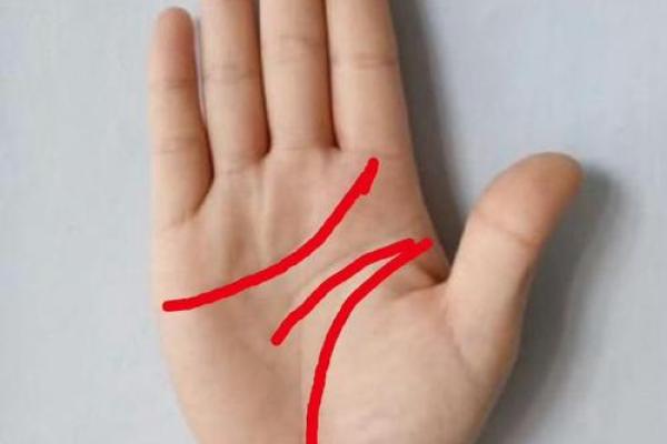揭秘男人的手相:哪些特征暗示着当官命格? 揭秘男人的手相:哪些特征暗示着当官命格?