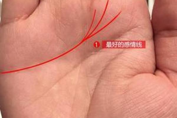 你是什么命?探索富贵命的秘密与成就之路 你是什么命?探索富贵命的秘密与成就之路