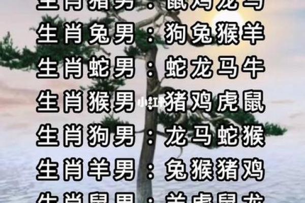 偏财格男命的最佳配对与命理解析 偏财格男命的最佳配对与命理解析