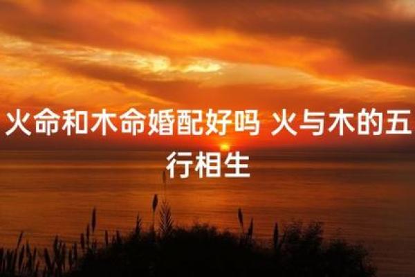 如何为木命人取一个富有水土之气的名字 如何为木命人取一个富有水土之气的名字