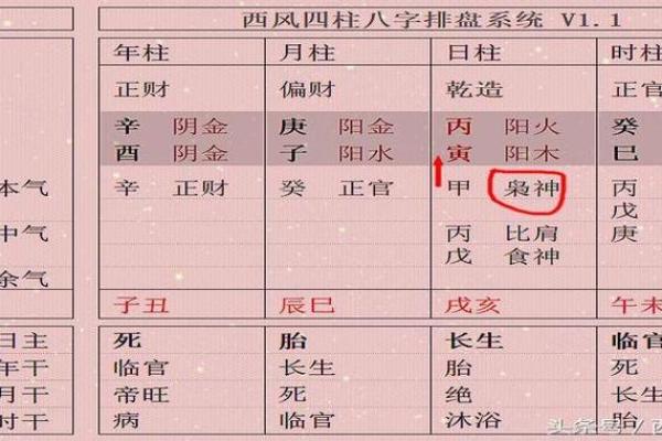 木命人木旺适合选择的专业与发展方向解析 木命人木旺适合选择的专业与发展方向解析
