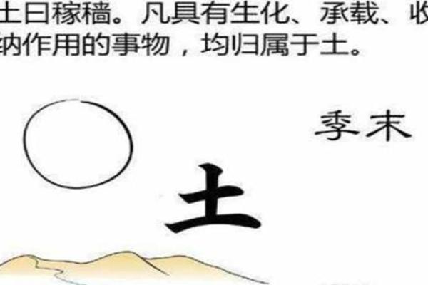 探秘八字中的夫妻宫:揭示命理背后的爱情密码 探秘八字中的夫妻宫:揭示命理背后的爱情密码