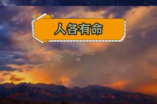命运掌握在自己手中,反义词的深刻意义与启示 命运掌握在自己手中,反义词的深刻意义与启示