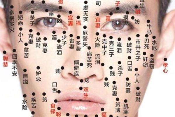 探索女命异性缘的奥秘:从命宫看你的爱情运势 探索女命异性缘的奥秘:从命宫看你的爱情运势