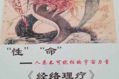 命卦离命解析：深入探讨离命的含义与影响