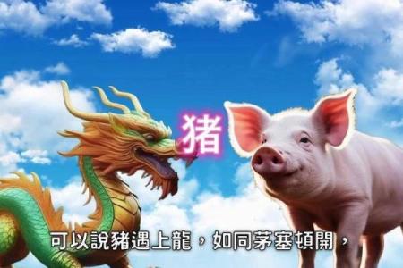 探索1996年属猪人的五行命理与性格特点