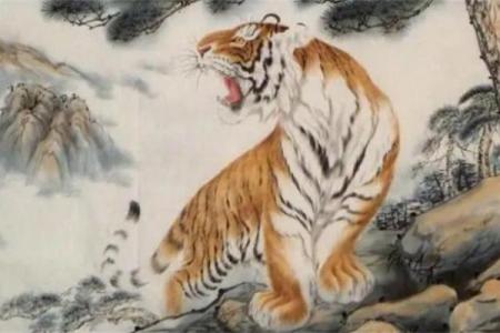 六月份的虎：探寻属虎之人的命理奥秘与生活启示