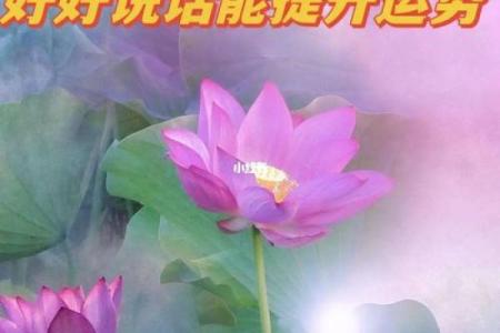 路旁土命的旺财颜色与提升运势的秘密