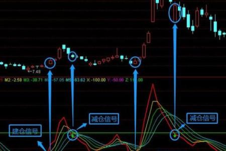 六月五号出生的人：命格解析与人生启示