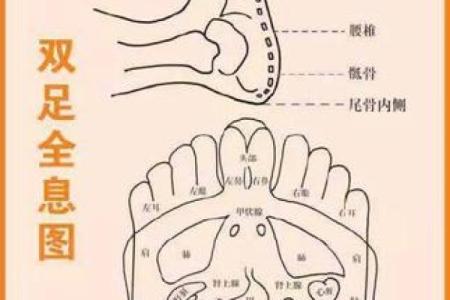 探秘老黄历：梳理五行之命，解读命运的奥秘与智慧