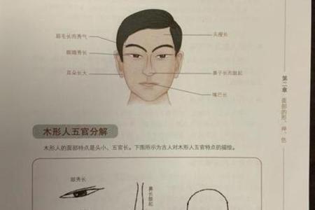 探索木命人的最佳搭配与生活指南，让你人生更加喜乐满满