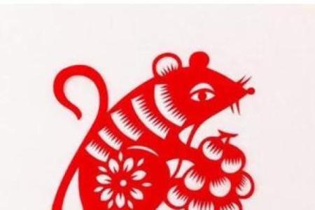 明年阴历六月十九，属鼠命运揭秘与智慧分享