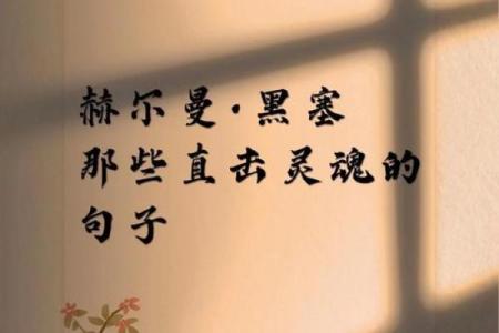 命字的深意：探寻命运背后的哲学与启示