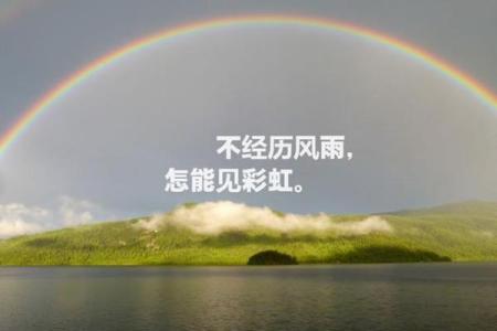 用爱拯救生命：母亲的坚韧与孩子的勇气
