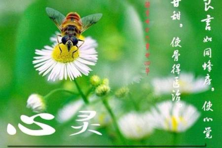 霹雳火命的克制力量与相生相克的奥秘解析
