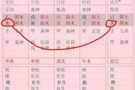 男命时柱六厄，探秘命理背后的深意与启示