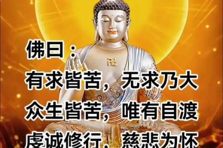 理解“乃命羿曰命”的文化深意与人生智慧