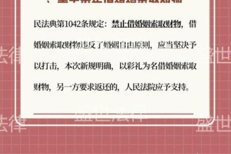 命里两重婚姻：探索命运与爱情的复杂交织