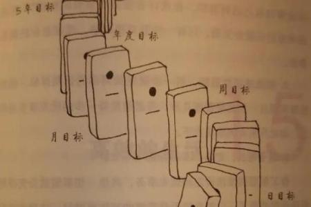 探秘命格：官与印的奇妙关系，揭示人生的秘密之钥！