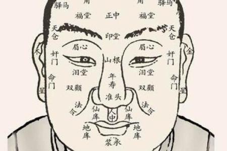 眉毛与五行的奇妙关联：解密面相与命运的密码