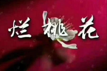 没有桃花的命格：如何理解与化解情感困扰