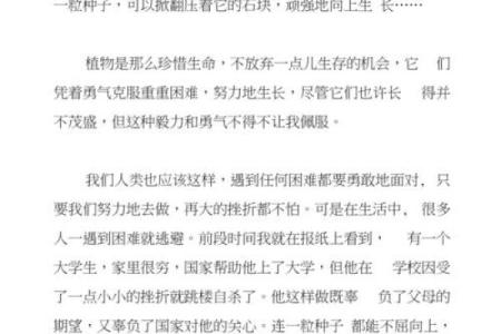 在狂风中搏命，生命的数字与勇气的较量