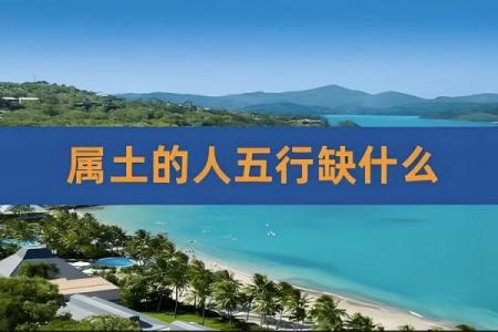 炉中火命与天生之命：探索五行中的温暖与勇气