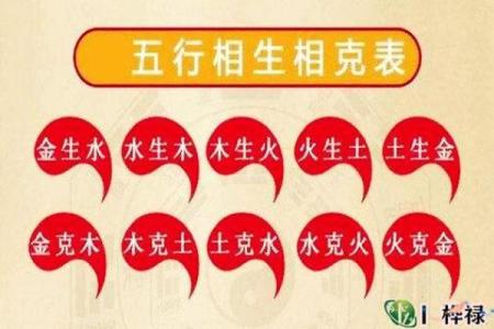 木命与火命的五行养生：如何选择合适的植物与动物？